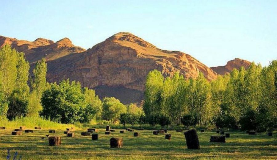 Adana Tıkanıklık Açma