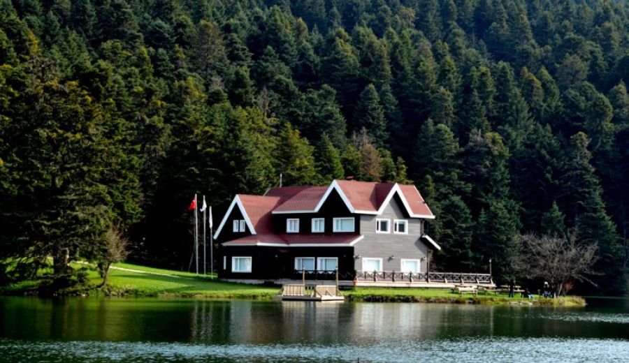 Bolu Tıkanıklık Açma