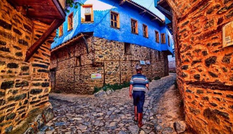Bursa Tıkanıklık Açma