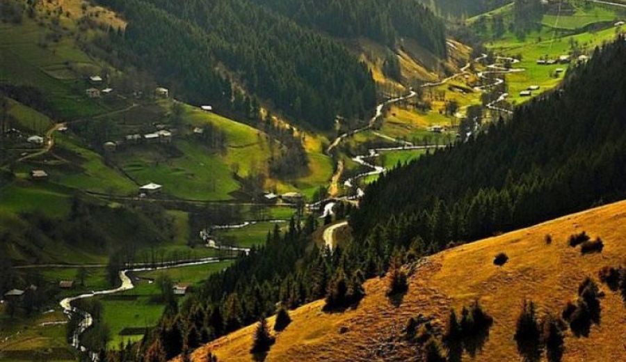 Gi̇resun Tıkanıklık Açma