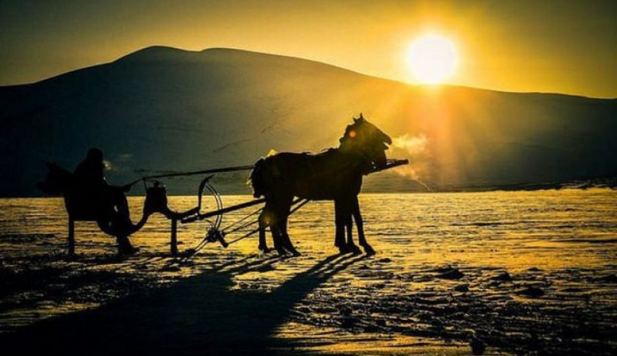 Ardahan Tıkanıklık Açma